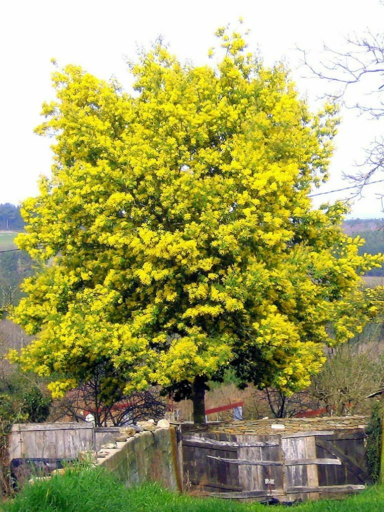 Foto 6 di 6