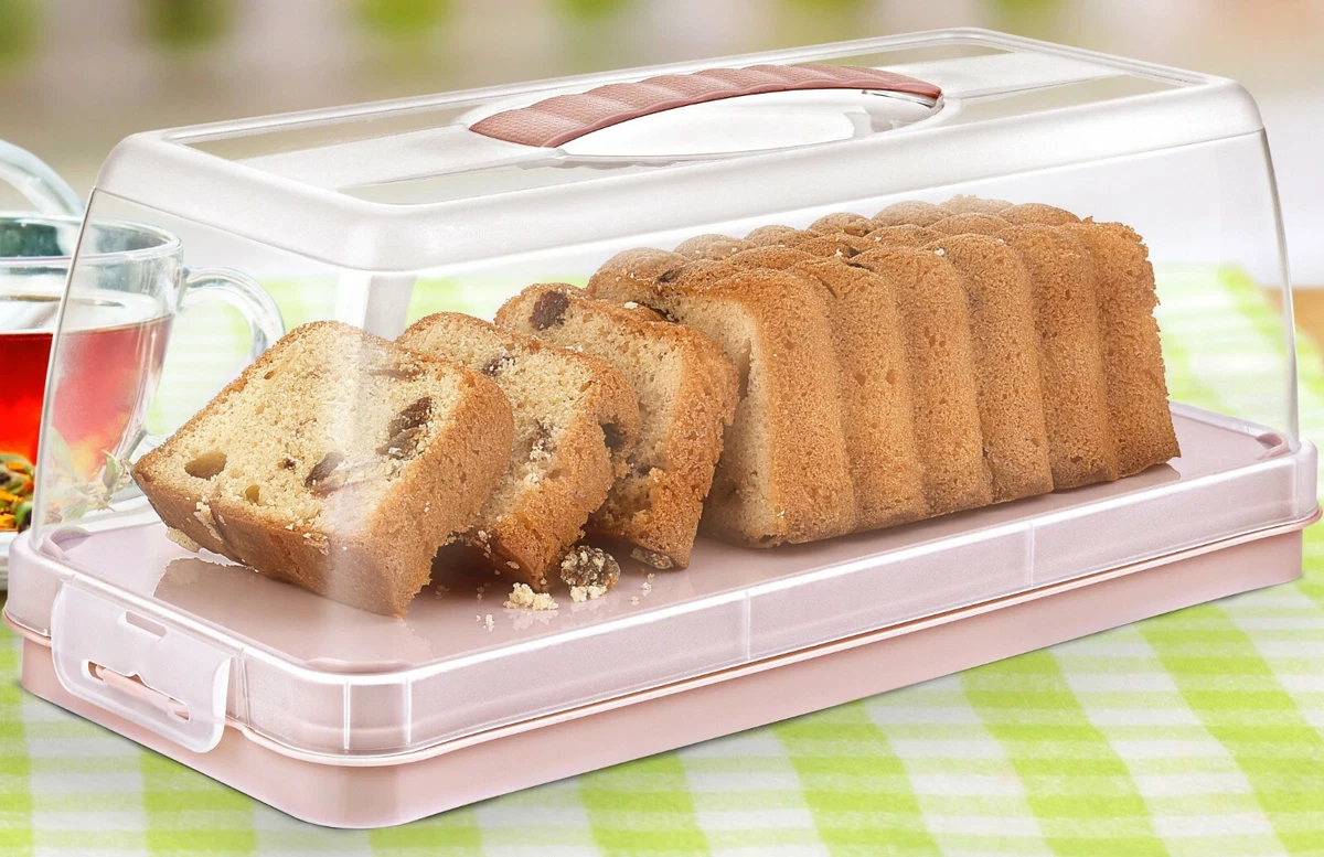 Details 148+ rectangular cake carrier best in.eteachers