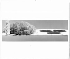 SPACE BUILDING BLOCK NEW PLASTIC FOAM FOR SPACE 8" X 10" B/W ORIGINAL PHOTO