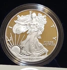 Perfect Iconic!!! 2005 W SILVER AMERICAN EAGLE OGP & COA 1 oz 999 Fine Silver