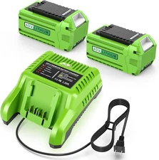 40V GreenWorks G-MAX Battery 6.0Ah 2-Pack w/ Charger 29462 29252