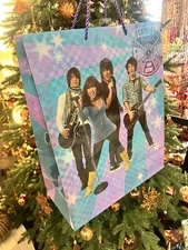 Camp Rock Gift Bag 15.5 X 12.5 Disney