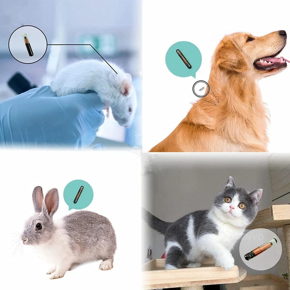 Microchip Universal para Mascotas 134.2khz Registro Animal Implante Chip FDX-B Mascota I... Foto 3 de 4
