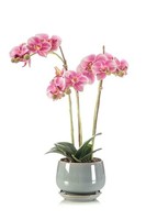 Artplants KüNstliche Orchidee Jolana Im Keramiktopf, Rosa, 45Cm