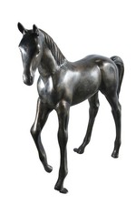 Life Size Aluminum Arabian Colt Horse Statue for Decoration 50