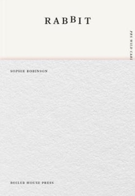 Rabbit by Sophie Robinson PAPERBACK 9781911343455 - Image 4