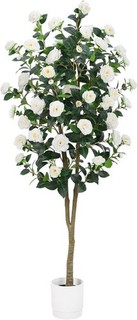 Artificial Camellia Tree in White Planter For Auction White 6ft 1 PCS