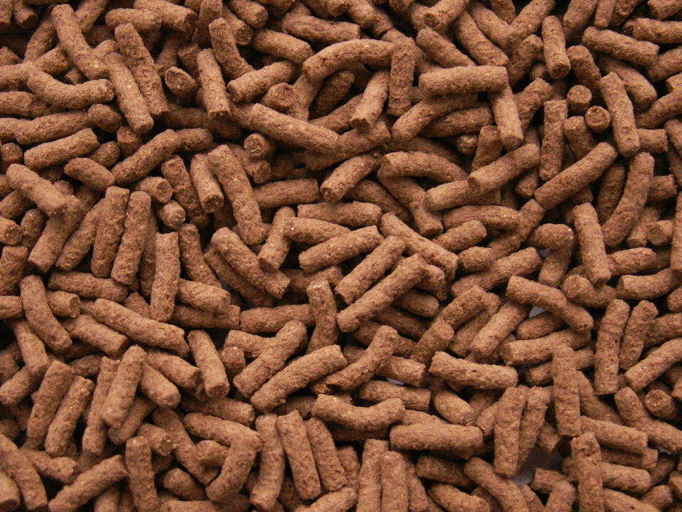 KORAL 500ml Gammarus Pellet Sticks Wasserschildkrötenfutter Reptilienfutter Koi