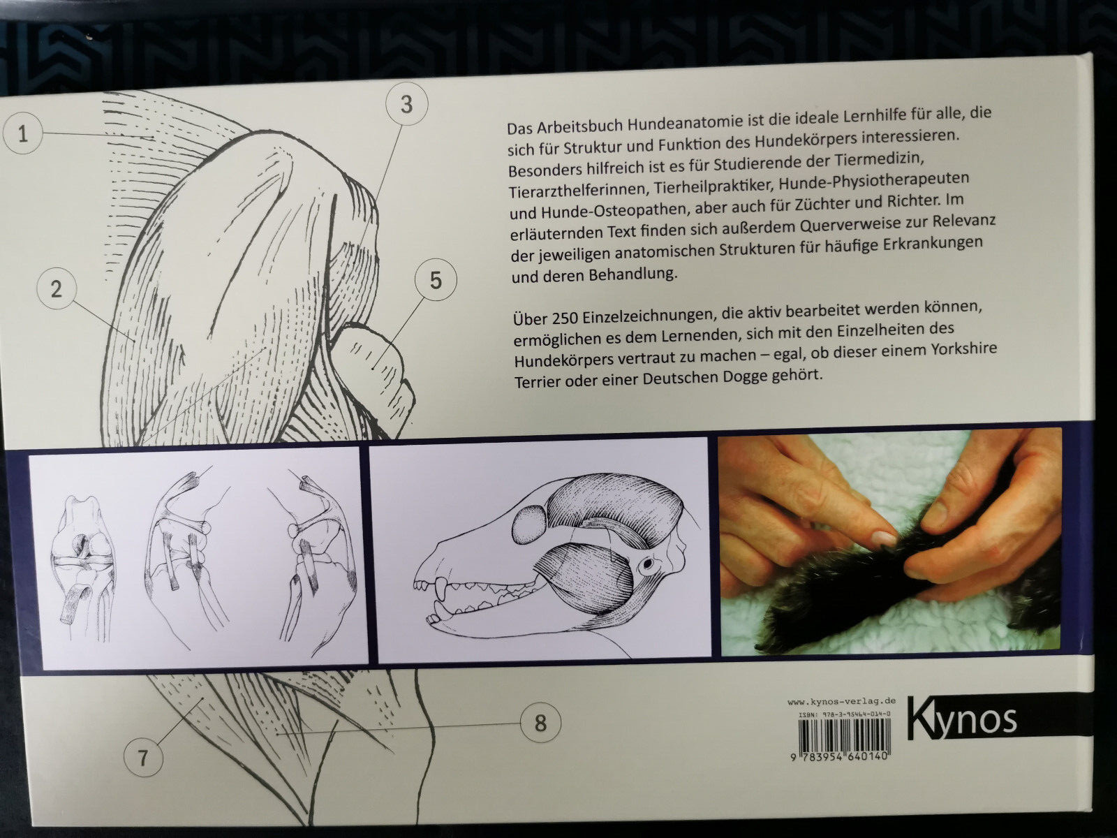 Thumbnail - Arbeitsbuch Hundeanatomie Eine Lernhilfe Für Studenten Der Tiermedizin