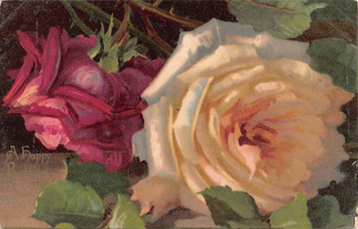 Beautiful Red & White Roses on a Vintage Birthday Postcard
