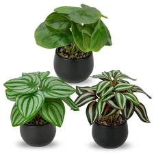 3PCS Fake Plants Potted Artificial Plants Mini Faux Plants in Black Ceramic P...