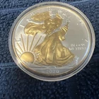 2020-P American Silver Eagle "Highlighted 24K Gold Gilded"