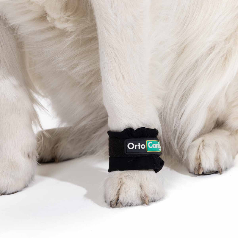 Pesas para fortalecimiento muscular en perros para perros Ortocanis