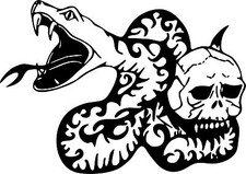 Snake Skull Bite Fang Car Truck Window Laptop Vinyl Decal Sticker