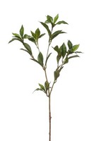 Artplants Kunst Zweig Lorbeer Itrelk, GrüN, 90Cm