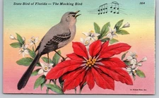 Vintage Linen Postcard Florida Mocking Bird State Bird Tichnor Bros