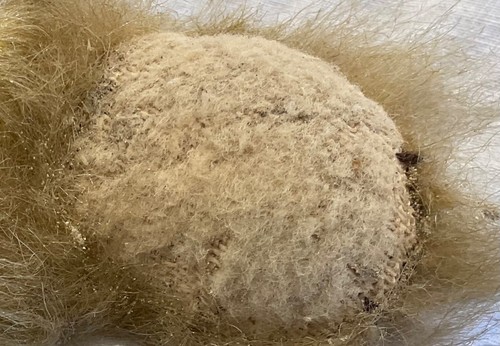 Artist Kathleen Wallace Stier Jointed~Large 17” Gold Mohair growler teddy bear - Picture 9 of 9