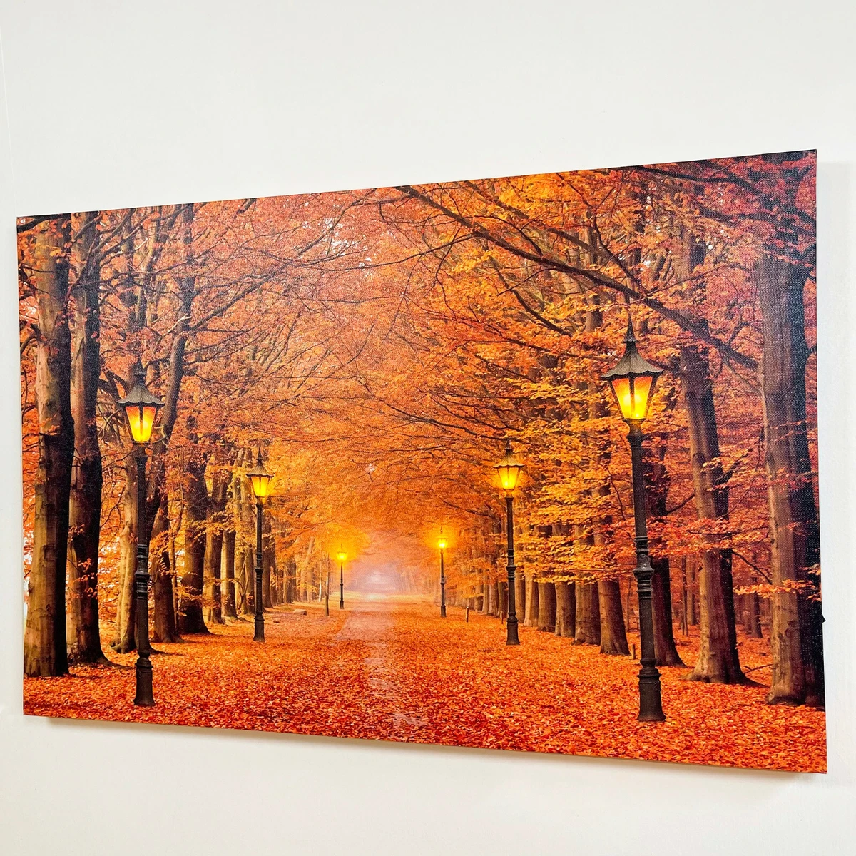 Autumn Avenue Scene LED Canvas 6 Bulb Light Up HD Wall Home Decor Picture Art