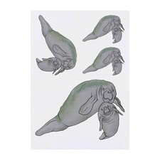 4 x 'Manatee Mother  Calf' Temporary Tattoos / Transfers TO00041939 