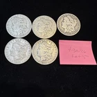 lot of 5 morgan silver dollars