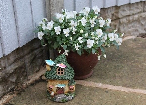 Picture 4 of 6