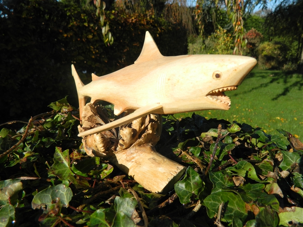 Wooden Shark Carving - Hand Carved Great White Shark on Parasite Wood - 30cm