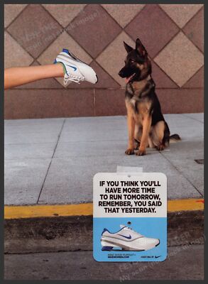 dog running shoes nike