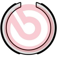 Bremsbackensatz, Feststellbremse S 15 502 BREMBO für DAEWOO HYUNDAI KIA