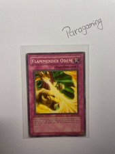 YuGiOh Karte Flammender Odem SKE-DE049 | 1996 | 1. Auflage