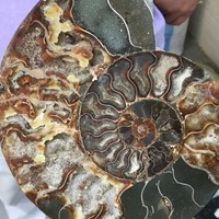 TOP 200G+ Natural Quartz Crystal Mineral Specimen Reiki Healing Care Home Decor 5