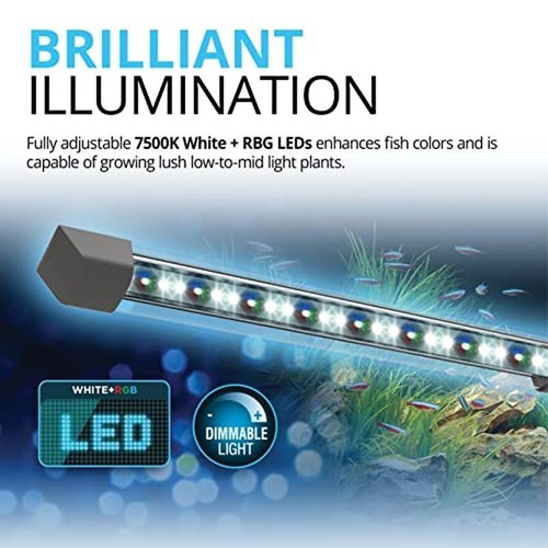 Aquarium Kit LED Lighting Filtration System Customizable Fish & Plants New - Picture 5 of 8