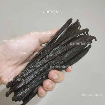 FRESH AND NATURAL INDONESIAN VANILLA BEAN 500 GRAM