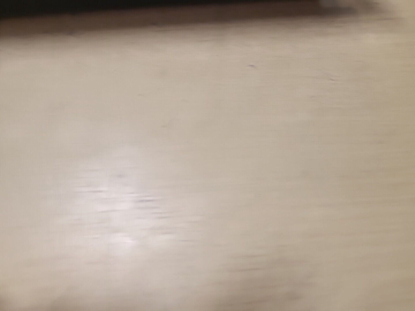 Picture 5 of 13