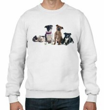 Staffordshire Bull Terrier Cani Animali Uomo Felpa Maglione