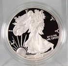 2007 W Proof American Silver Eagle !!