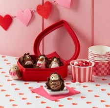 Target Spritz Valentine  s 2025 Featherly Friends Box Of Chocolates Mini Birds