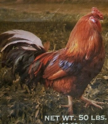 Empty Chicken Feed Woven Plastic Bag Sack Crafts Art Repurpose Wall Decor Fabric