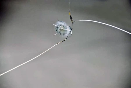 - opens in new window or tab.