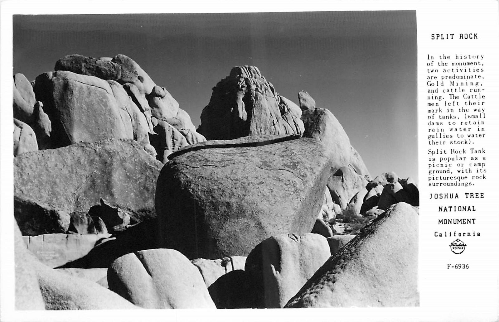 1940s California Joshua Tree National Monument Frasher RPPC Postcard 25-8448