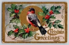Postcard c1910 Bird Holly Christmas Embossed P192