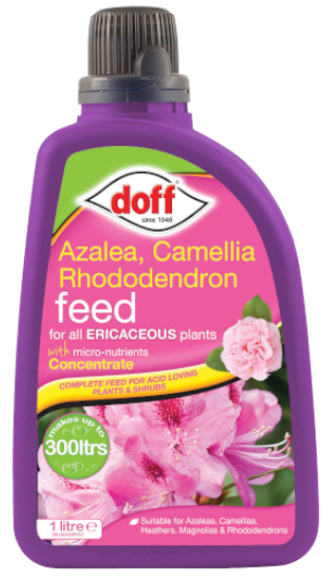Doff Azalea Camellia & Rhododendron Plant Growth Feed Fertiliser Concentrate 1L