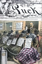 Mysterious Political Disease 1886 NEW MEDICINE DOCTOR BLISS SANITARIUM Puck Art