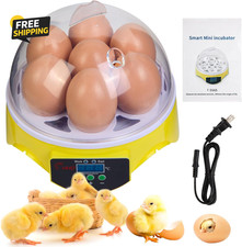 7-Egg Incubator 360  View Poultry Incubator with Manual Temperature