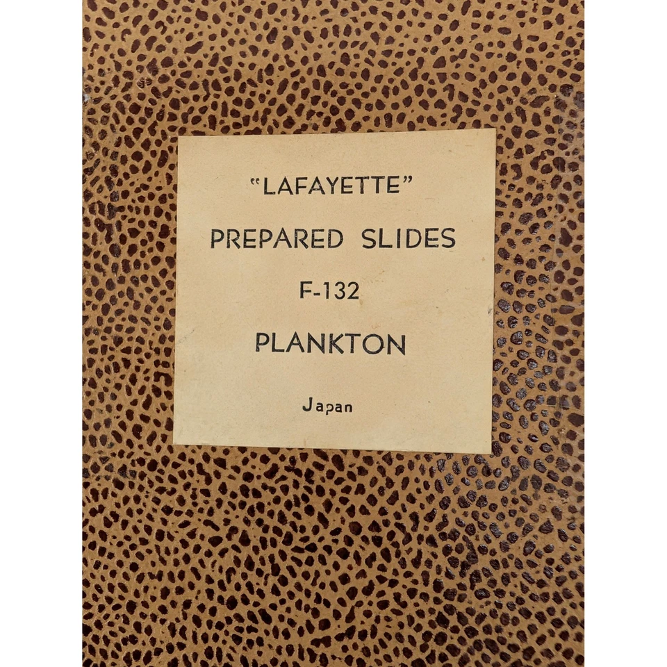 Lote de 3 juegos de diapositivas de microscopio preparado para Lafayette bacterias plancton pequeños animales Foto 4 de 4