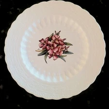 VTG Spode Bermuda  Flowers 9" Embossed Border Flower Plate S.1312 Use Or Display