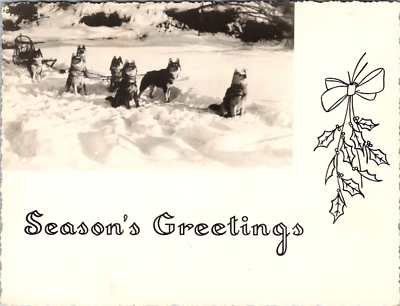 Christmas Greetings Alaska Sled Dogs Family Christmas Card RPPC