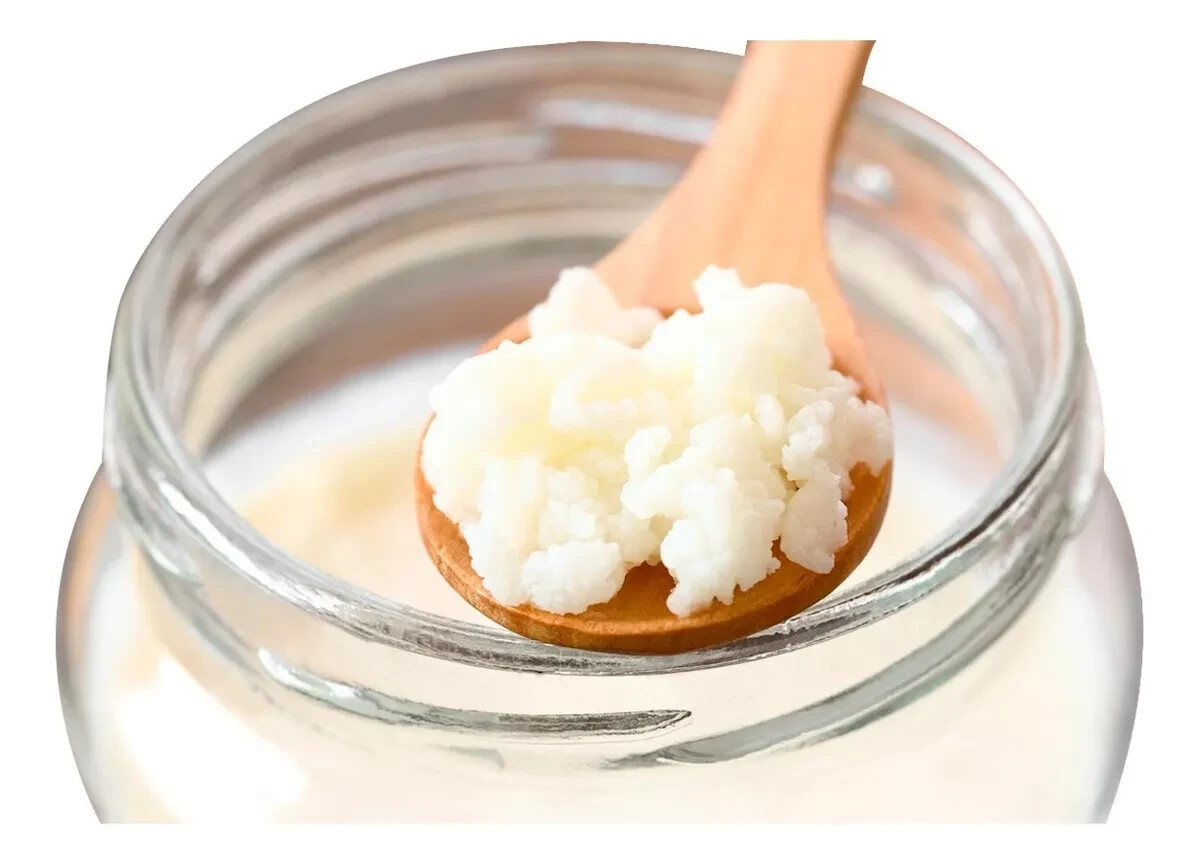 1 TBSP Organic Milk Kefir Grains Milk Kefir Fresh Live Active Probiotic