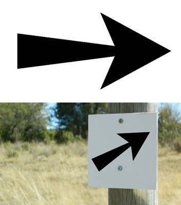 Arrow Steering, Sticker Vinyl Version VI