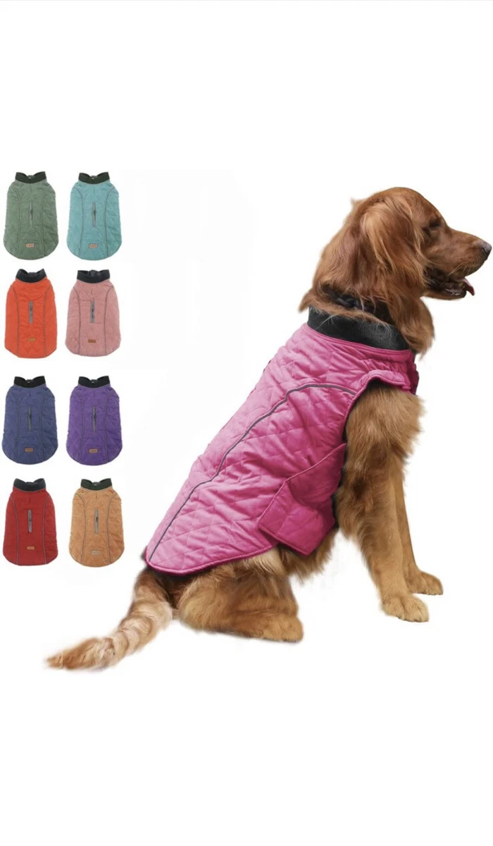 Uluru swallow Implement ebay dog coats Looting stay up Piping