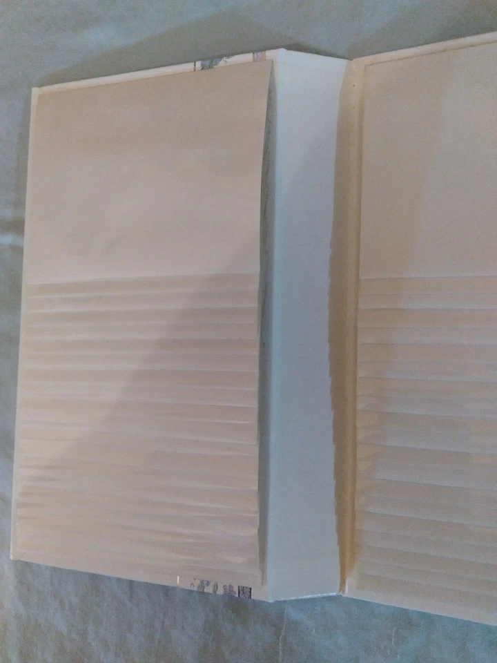 ÁLBUM DE FOTOS HALLMARK VINTAGE "NUESTRO ANIVERSARIO DE PLATA" AAL7636 Foto 2 de 4